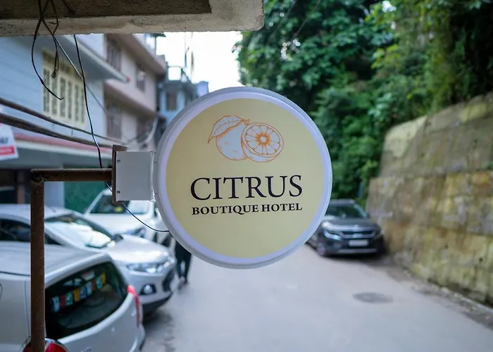 Citrus BoutiqueBoutique Hotel